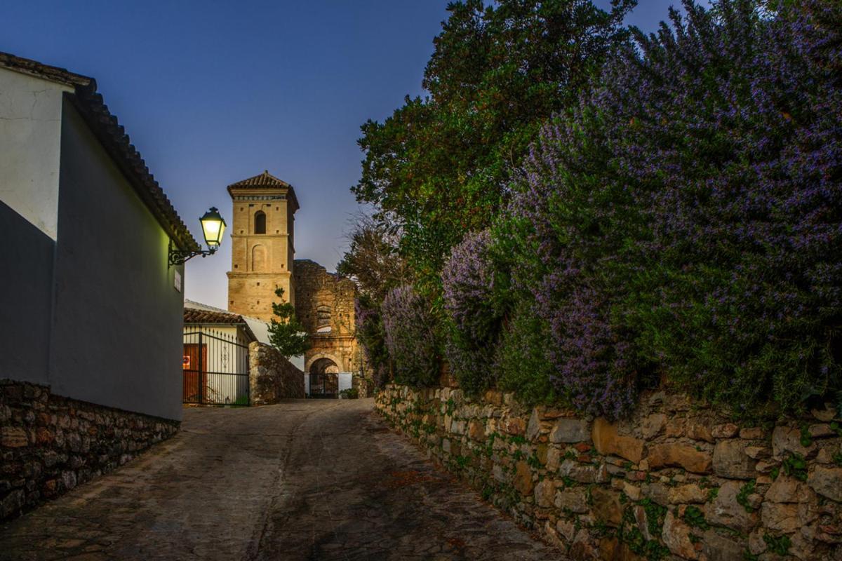 Casa De Los Cuadros Villaluenga Del Rosario Dış mekan fotoğraf