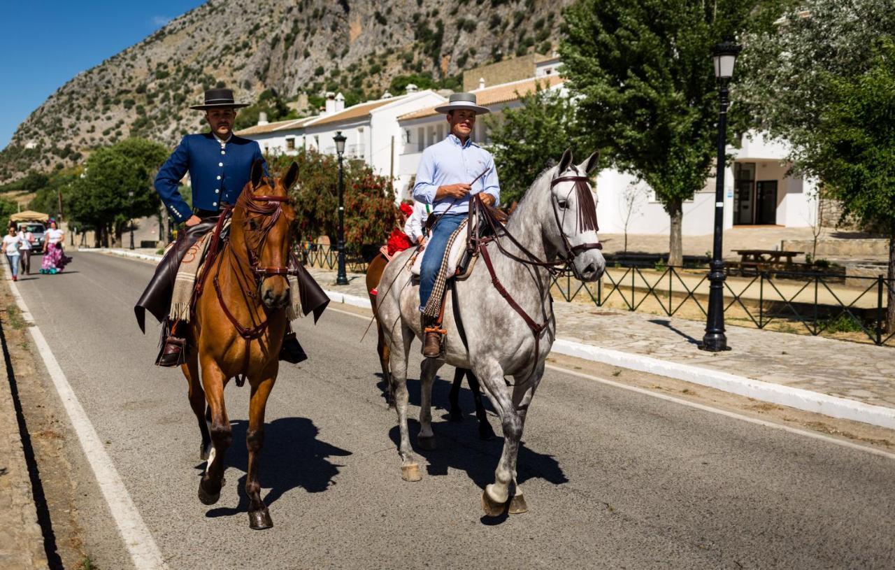 Casa De Los Cuadros Villaluenga Del Rosario Dış mekan fotoğraf