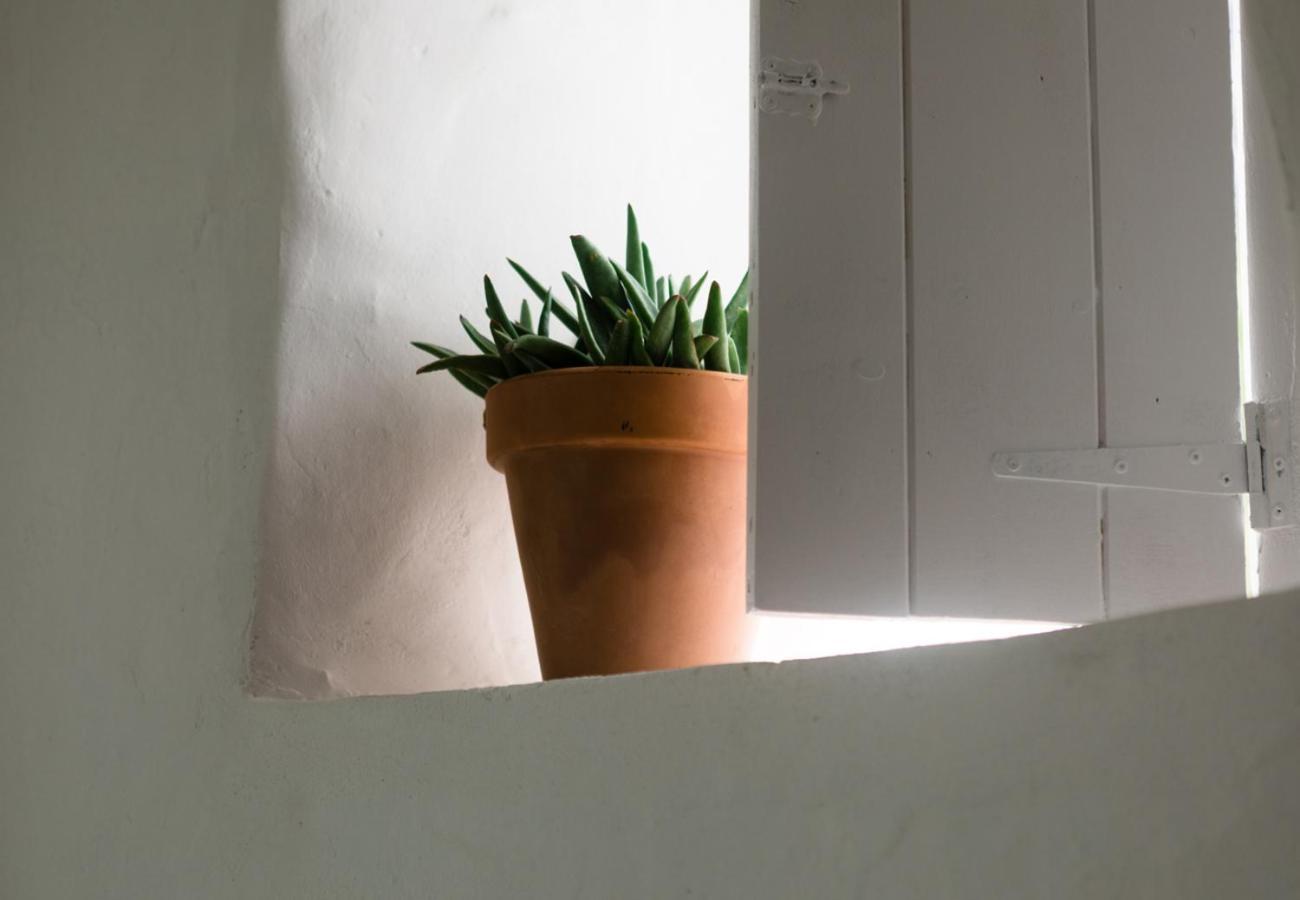 Casa De Los Cuadros Villaluenga Del Rosario Oda fotoğraf